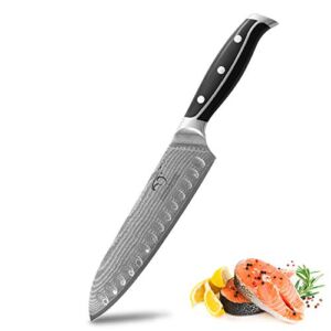 Santoku Knife 7 Inch, WanRui Series Professional Kitchen Knife Forged with VG10 Super Steel 67-Layer Damascus, Non-slip ABS Ergonomic Triple Rivet Handle, Razor Sharp Lightweight Multipurpose