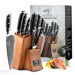 Damascus Knife Set for Kitchen, Kitchen Knife Set with Block, Damascus Steel VG10 with ABS Ergonomic Handle Included Chef Knife, Knife Sharpener and Kitchen Shears, 9 Pieces