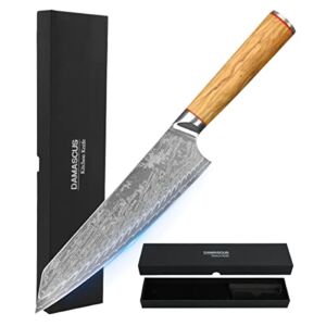 WAK Damascus Steel Chef Knife, 8 inch Super Sharp Professional kitchen Knife, VG10 High Carbon Stainless Steel Military Grade Knives with Ergonomic Olive logs Handle, Natural Damascus Pattern