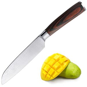 Sharp Kitchen Fruit Paring Knife – Small 3.5 Inch High Carbon Stainless Steel Peeling Knives for Cutting and Slicing
