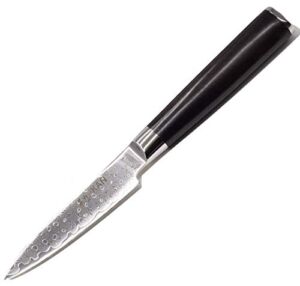 KAN Core 3.5-inch Paring Knife (G10 Handle)