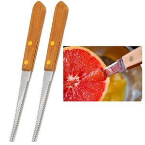 2 Grapefruit Knives Stainless Steel Dual Serrated Edge Blade Knife Citrus Fruit, Silver, Variable