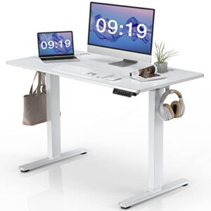 Standing Desk, 48 x 24 in Electric Height Adjustable Computer Desk Home Office Desks Sit Stand up Desk Computer Table with Memory Controller/Headphone Hook, White