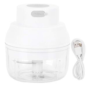 100ML Electric Garlic Chopper Mini, Garlic Masher Crusher, Portable USB Rechargeable Meat Grinder for Home Kitchen(white)