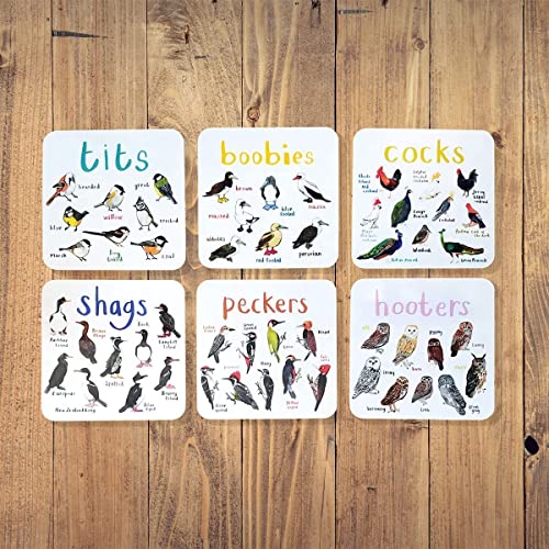 Set of 6 Bird Pun Coasters,Bird Pun Coasters,Funny Coasters for Drinks,Square Coaster Set for Cups Home Kitchen Coasters. (1*Set) | The Storepaperoomates Retail Market - Fast Affordable Shopping