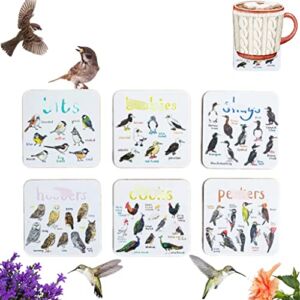 Set of 6 Bird Pun Coasters, Bird Pun Coasters for Drinks, Square Coaster Set for Cups Home Funny Coasters Set Table with Non-Slip Decor Gift Idea for Bird Lover Friends Bar Housewarming Gift Coffee