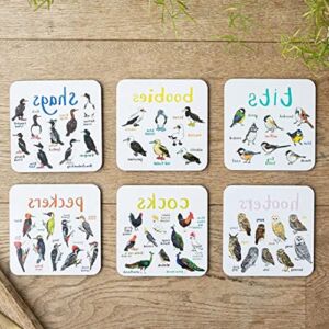 Funny Coasters for Drinks Set of 6 Bird Pun Coasters Drink Coaster for Tabletop Protection Artistic Bird Square Coaster Set for Home Table Kitchen Decor Bar Housewarming Gift