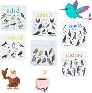 ShayU Bird Pun Coasters,Set of 6 Bird Pun Coasters, Square Coaster Set for Home Kitchen Decor Bar Housewarming Gift