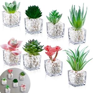 8 Pieces Cute Succulent Refrigerator Magnets Plant Fridge Magnets Plant Decorative Magnets Potted Succulent Magnets Mini Artificial Magnets for Fridge for Home Kitchen Office Whiteboard Decoration