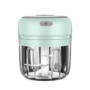 Yunnyp Electric Garlic Chopper 250ml Electric Mini Garlic Chopper Garlic Cutter Garlic Masher USB Rechargeable Powerful Blender Suitable for Home Kitchen