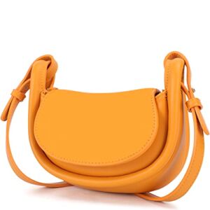 CECILE Designer Shoulder Handbags for Women, Mini Crossbody Purse Bag, Small Trendy Clutches wth 2 Straps (Orange)