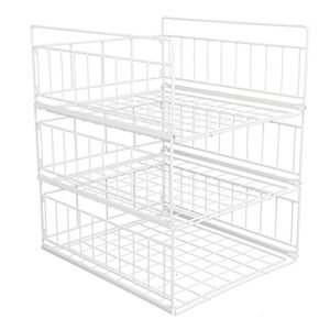 CHICIRIS Spice Storage Rack, Fine Workmanship Strong and Durable Removable Easy to View Kitchen Shelf for Home Kitchen