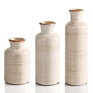 Eyamumo Ceramic Vase for Décor Set of 3 Large Small Vase, Ceramic Vases for Rustic Home Decor Accent, Modern Farmhouse Vase Sets for Living Room Decorations, Ideal Shelf Décor, Table, Bookshelf