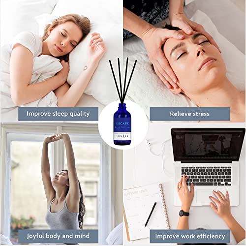 Reed Diffusers Set, 3.7 Oz Scent Diffuser (Strong Aroma), 6 Reed Diffuser Sticks, Home Fragrance Lemon, Peony & Citrus, Aromatherapy Oil Diffuser Reeds, Bathroom & Office Decor 110ml | The Storepaperoomates Retail Market - Fast Affordable Shopping