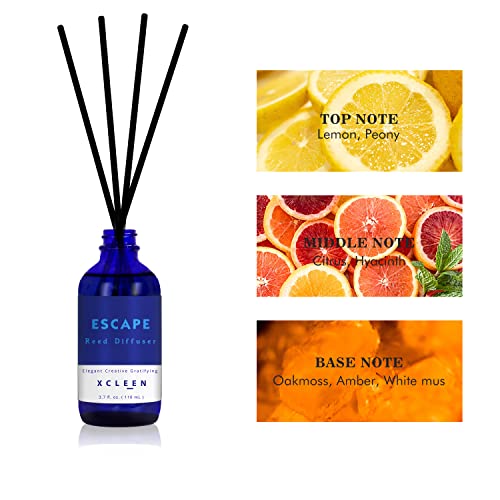 Reed Diffusers Set, 3.7 Oz Scent Diffuser (Strong Aroma), 6 Reed Diffuser Sticks, Home Fragrance Lemon, Peony & Citrus, Aromatherapy Oil Diffuser Reeds, Bathroom & Office Decor 110ml | The Storepaperoomates Retail Market - Fast Affordable Shopping