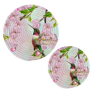 Spring Pink Hummingbird Trivets for Hot Pots Dishes Heat Resistant, Summer Cherry Blossoms Hot Mats Pads for Kitchen Decorative Counter Tops Dining Washable Pot Holder Coasters Set
