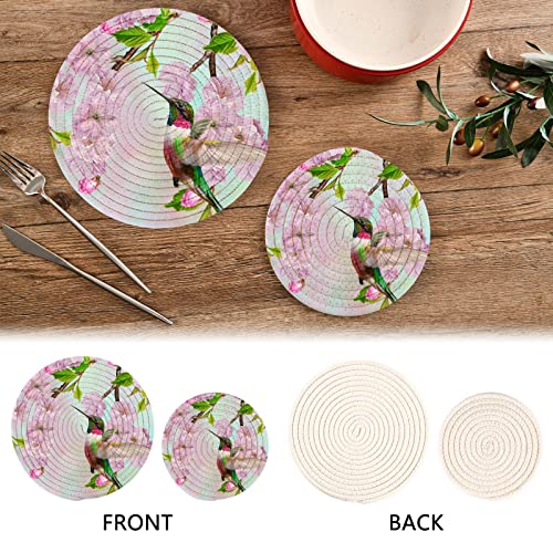 Spring Pink Hummingbird Trivets for Hot Pots Dishes Heat Resistant, Summer Cherry Blossoms Hot Mats Pads for Kitchen Decorative Counter Tops Dining Washable Pot Holder Coasters Set | The Storepaperoomates Retail Market - Fast Affordable Shopping