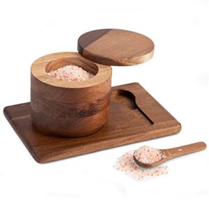 SWEET & LAMB COLLECTION Salt Cellar with Lid and Spoon – Beautifully Crafted Acacia Wood Salt Holder with Lid, Spoon, & Nonslip Tray – Magnetic Closure & Tight Seal – Wooden Salt Box