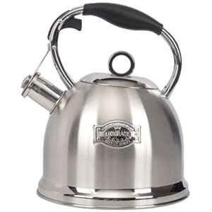 Tea Kettle for Stovetop, Food Grade Stainless Steel Water Kettle, Tea Pot for Home & Kitchen, 3.0 Qt