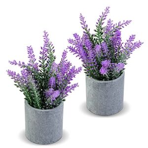 CADNLY Artificial Lavender Plant in Pots – Faux Lavender Artificial Flowers – Fake Lavender Plants Potted – Modern Farmhouse Flower Decor – Purple Lavender Decor for Bathroom Bedroom Kitchen Set of 2