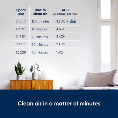 BLUEAIR Bedroom Air Purifier, Air Cleaner Dust Pet Dander Smoke Mold Pollen Allergen, Odor Removal, for Home Office Nursery Kitchen, Washable Pre Filter, HEPASilent, Medium Room, Blue 311 (Non-Auto) | The Storepaperoomates Retail Market - Fast Affordable Shopping