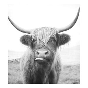 susiyo Black and White Highland Cow Dishwasher Magnet Cover, Home Kitchen Decor Magnetic Sticker for Refrigerator
