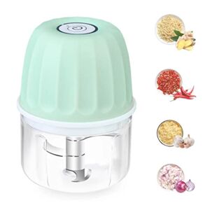 Arglife Electric Mini Garlic Chopper – Portable Cordless Mini Food Processor,USB Rechargeable 250ml Food Chopper with Isolated Lid for Onion,Chili, Vegetables,Meat,Baby Food (Green)