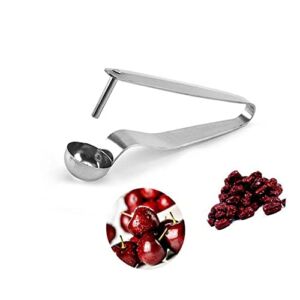 JCYUANI Cherry Pitter Cherry Corer Pitter Tool Stainless Steel Cherry Seed Remover Fruit Corer Household Pitting Gadgets Portable Cherry Corer for Home Kitchens, Cherries and Chinese Dates