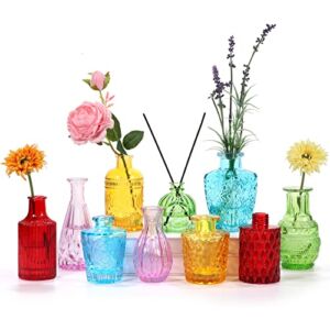 BIGIVACA Set of 10 Glass Bud Vases,Small Vases for Flowers,Colorful Single Bud Vases in Bulk,Mini Decor Rustic Vases for Centerpieces,Vintage Glass Bottles for Wedding, Home,Table Decoration