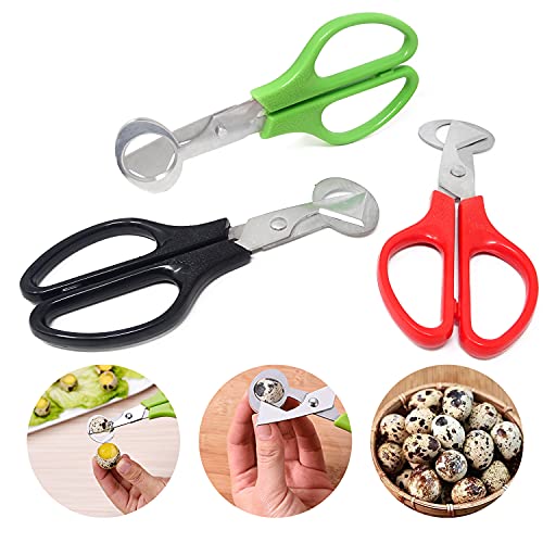 Honbay 3PCS Stainless Steel Quail Egg Cutter Scissors Kitchen Mini Egg Cutter Scissors Quail Egg Shears Tool Opener for Home and Restaurant (3 Color, 5.5 Inch) | The Storepaperoomates Retail Market - Fast Affordable Shopping