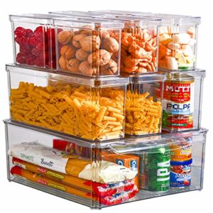 Refrigerator Organizer Bins with Lids-10PCS BPA Free Fridge Organizer, Stackable Clear Plastic Storage Bins for Fridge, Freezer, Kitchen Cabinet, Pantry Organization and Storage
