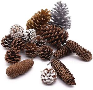 JOHOUSE Natural Pine Cones, 17PCS Holiday Party Favor Home Decor Pine Cones for Crafts Home Decoration Christmas Ornaments, 6 Different Sizes