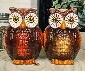 Ebros Gift Wisdom Of The Woods Great Horned Brown Owls With Wide Round Eyes Ceramic Salt And Pepper Shakers Figurine Set 3.5″H Forest Nocturnal Owl Birds Home Kitchen Decor