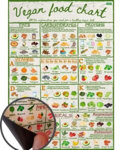 Vegan Healthy Food Chart Guide – Informative Nutrition Vitamins Minerals Magnetic Fridge Chart – Stylish Colourful Water Resistant Kitchen Guide Magnet
