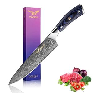 VINNAR Japanese Chef Knife ,Damascus Steel VG-10 Super Sharp Professional Kitchen Knives, Ergonomic Blue G10 Handle，Sharpest Cooking Knife Best Choice for Home Kitchen and Restaurant