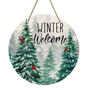 Deroro Winter Welcome Sign for Front Door Decor, Winter Farmhouse Pine Trees Cardinal Bird Wood Door Hanger for Outdoor Outside Porch, Rustic Snowflakes Wooden Wreath Wall Hanging Decoration