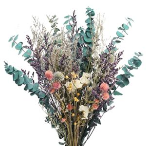 XYXCMOR Natural Dried Flowers Bouquet, Dried Eucalyptus Bundle, Dried Lavender Flowers and Billy Balls for Home Bedroom Kitchen Table Vase Wedding Decor (16.9 Inch)