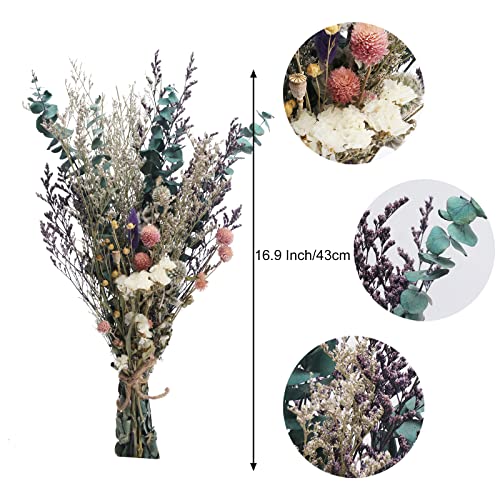 XYXCMOR Natural Dried Flowers Bouquet, Dried Eucalyptus Bundle, Dried Lavender Flowers and Billy Balls for Home Bedroom Kitchen Table Vase Wedding Decor (16.9 Inch) | The Storepaperoomates Retail Market - Fast Affordable Shopping