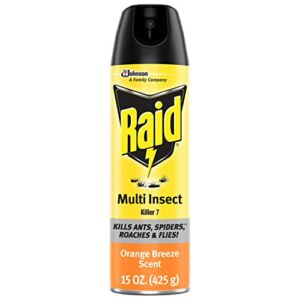 Raid Multi Insect Killer, Kills Ants, Spiders, Roaches and Flies, For Indoor and Outdoor use, Orange Breeze Scent, 15 oz