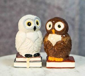 Ebros Gift Wisdom Of The Woods Snow White And Great Horned Brown Owls Standing On Academic Books Ceramic Salt And Pepper Shakers Figurine Set 3.5″H Forest Nocturnal Owl Birds Home Kitchen Decor