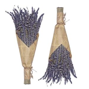 Cedar Space Lavender Dried Flowers 2 Bunches Dried Lavender Ideal Home Fragrance Products for Home Decorations, Wedding, Party, Photography & Flower Arrangements, Total Length 16 Inches