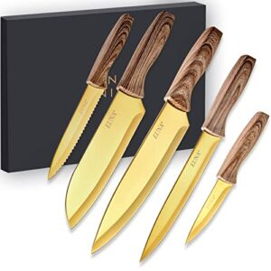 EUNA 5 PCS Chef Knife Set Ultra Sharp Kitchen Knife Set with Sheaths and Gift Box,Premium German Stainless Steel Knives Set for Kitchen with PP Ergonomic Handle (Gold)