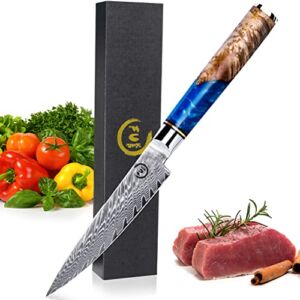Fukep Kitchen Utility Knife, 5 Inch Paring Knife Sharp-edged Damascus Paring knife VG10 Core Steel With 66 Layers High Carbon Steel – Ergonomic Blue Handle – Small Fruit Knife