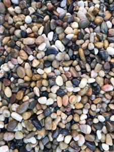 12 Pounds River Rock Stones, Natural Decorative Polished Mixed Pebbles Gravel,Outdoor Decorative Stones for Plant Aquariums, Landscaping, Vase Fillersnes for Plant Aquariums, Landscaping(12 LB, 1)