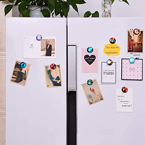 FINDMAG 24 Pack Refrigerator Magnets Decorative, Whiteboard Magnets, Glass 3D Cute Fridge Magnets, Small Magnets for Fridge, Office, Home, Kitchen, Cabinet, Whiteboard, Photo, Message, Gift | The Storepaperoomates Retail Market - Fast Affordable Shopping